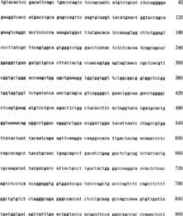 Figure C200480014513D00651