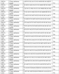 Figure imgf000201_0001