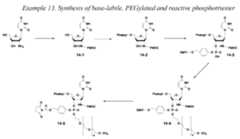 Figure imgf000201_0001