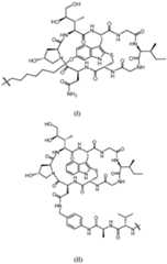 Figure imgf000043_0001