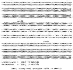 Figure imgf000080_0001