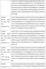 Figure imgf000069_0001