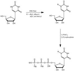 Figure imgf000206_0001