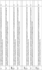 Figure imgf000091_0001