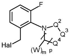 Figure imgf000032_0002