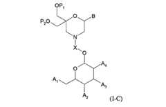 Figure 0007417529000023