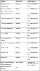 Figure imgf000055_0001