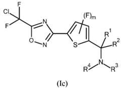 Figure imgf000020_0001