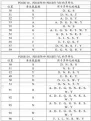 Figure BDA0001717945540002061