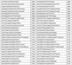 Figure imgf000083_0001