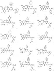 Figure PCTCN2022136857-appb-000010