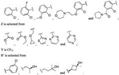 Figure imgf000012_0002