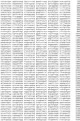 Figure IDA0002536600790000501