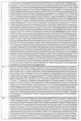 Figure BDA00003192402200651