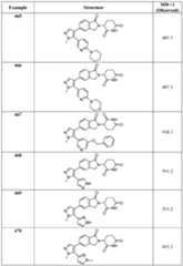 Figure imgf000304_0001