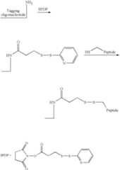 Figure US08206901-20120626-C00118