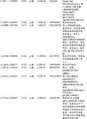 Figure BPA00001280678302271