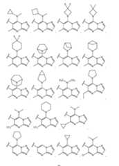 Figure imgf000031_0001