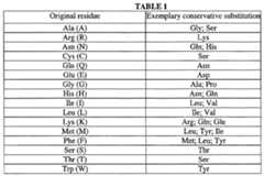Figure imgf000017_0001