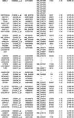 Figure 112018088977530-pat00204