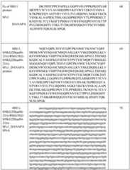 Figure imgf000150_0001