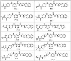 Figure BDA0002854352890000062