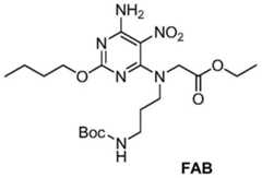 Figure BDA0000392638820002171