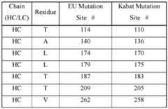 Figure imgf000099_0001