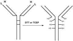 Figure imgf000229_0001