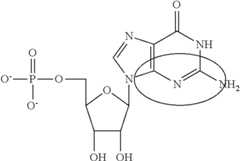 Figure US09675668-20170613-C00090