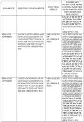 Figure imgf000337_0001