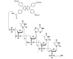 Figure imgf000200_0001