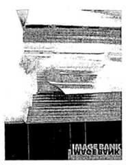 Figure 112005510106899-PCT00369