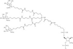 Figure US09181549-20151110-C00399