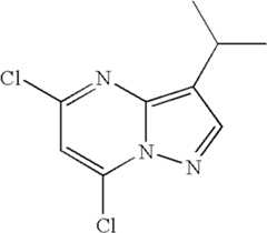 Figure US07119200-20061010-C00573