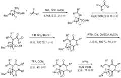 Figure BDA0003027264030002512