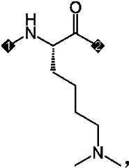 Figure PCTCN2022073822-appb-000450