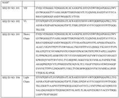 Figure imgf000062_0001