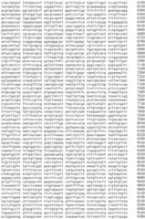 Figure IDA0002536600790001001