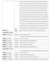 Figure 0007483732000034