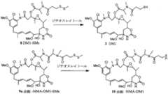 Figure 2022068367000005