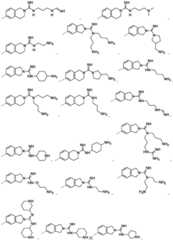 Figure FDA0003806534530000041