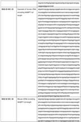 Figure imgf000026_0001