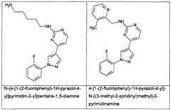 Figure imgf000010_0002