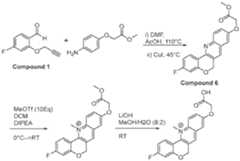 Figure imgf000075_0002