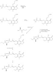 Figure US07427636-20080923-C00251