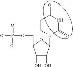 Figure US09675668-20170613-C00092