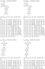 Figure BDA0002229553080000131