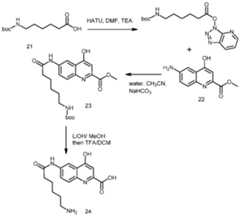 Figure imgf000062_0001