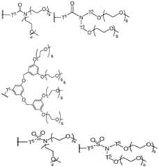 Figure imgf000077_0001